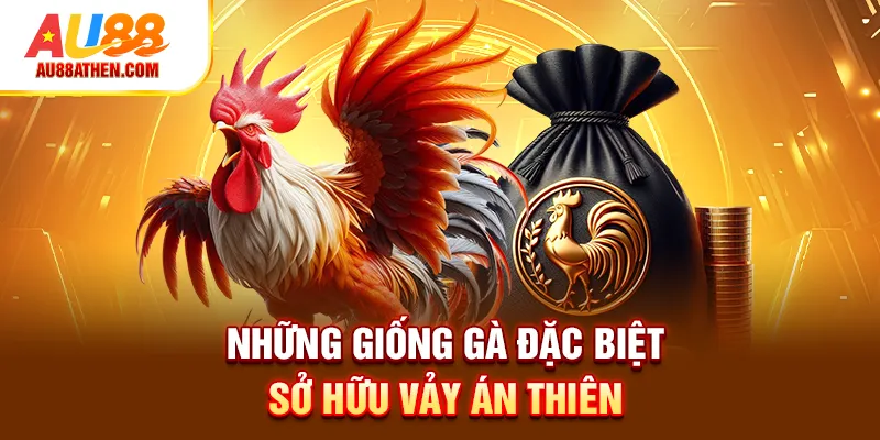 Vảy Án Thiên AU88 - Bí Quyết Nhận Biết Gà Đẳng Cấp - Sabet